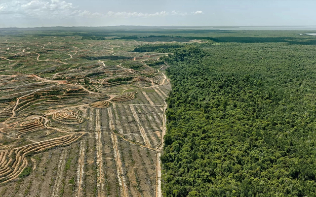Edward Burtynsky